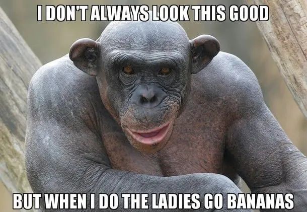 Monke